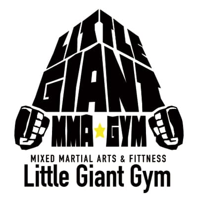 Little Giant Gym