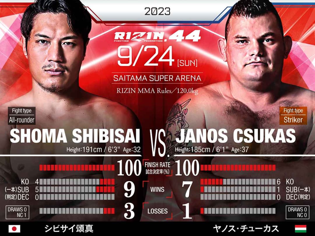 シビサイ頌真 vs Janos Csukas